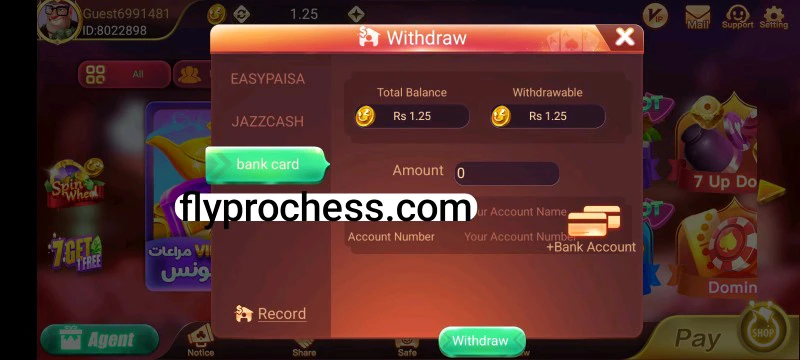 Fly Chess Pro Withdrawal